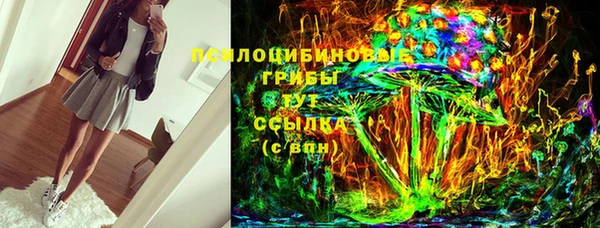 шишки Наволоки