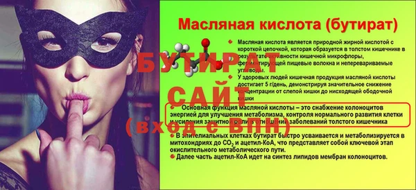 шишки Наволоки