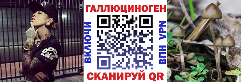 OMG как зайти  Северская  Галлюциногенные грибы мухоморы 
